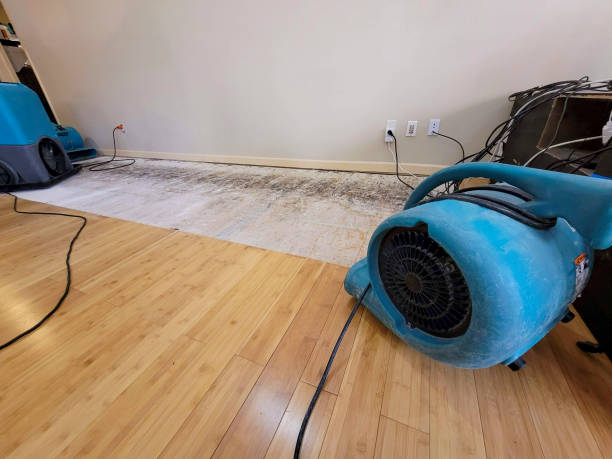 Professional Water Damage Repair technician working in Kershaw, SC